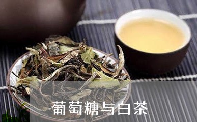 葡萄糖与白茶/2023052303606