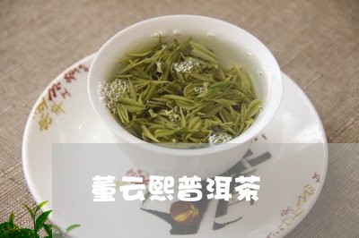 董云熙普洱茶/2023042519205