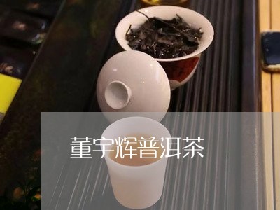 董宇辉普洱茶/2023110319513