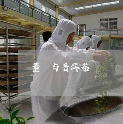 董玥与普洱茶/2023042591719