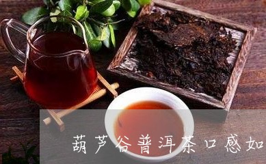 葫芦谷普洱茶口感如何/2023110892738