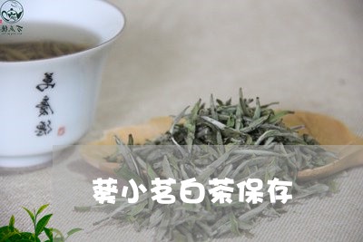 葵小茗白茶保存/2023060996170