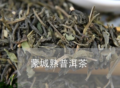 蒙城熟普洱茶/2023042635828