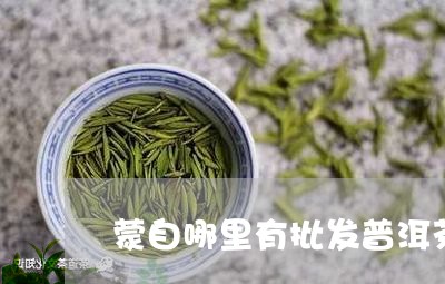 蒙自哪里有批发普洱茶/2023062406359