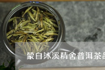 蒙自沐溪精舍普洱茶品习馆/2023112812038