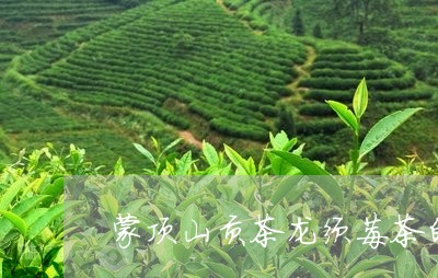 蒙顶山贡茶龙须莓茶的药物功效/2023053127496