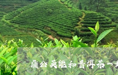 蒲公英能和普洱茶一起泡水喝吗/2023053085048