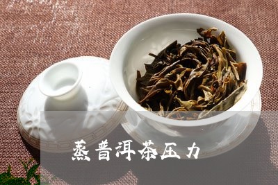 蒸普洱茶压力/2023042600834