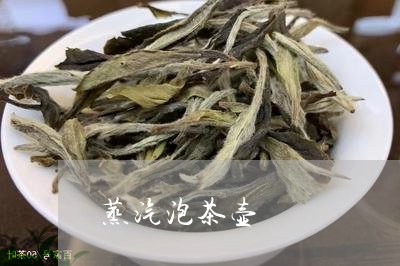 蒸汽泡茶壶/2023090256259