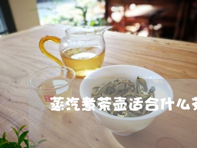 蒸汽煮茶壶适合什么茶/2023071384828