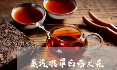 蒸汽眼罩白茶兰花/2023071114260