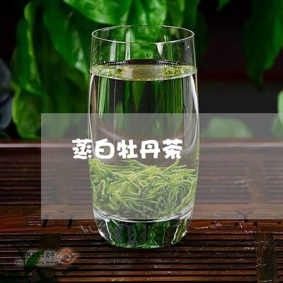 蒸白牡丹茶/2023082769939