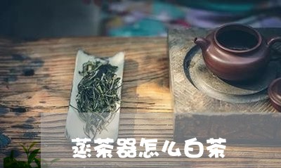 蒸茶器怎么白茶/2023060907477