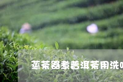 蒸茶器煮普洱茶用洗吗/2023092723736