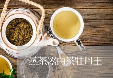 蒸茶器白茶牡丹王/2023071191512