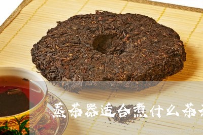 蒸茶器适合煮什么茶茶/2023071486259