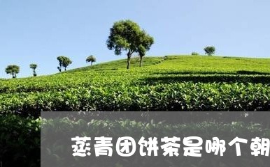 蒸青团饼茶是哪个朝代/2023071590725