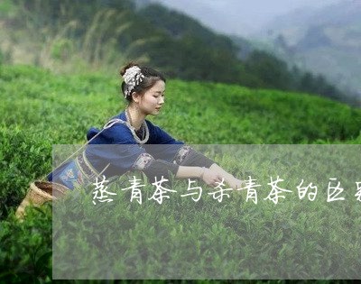 蒸青茶与杀青茶的区别/2023060973759