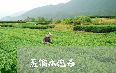 蒸馏水泡茶/2023090246369