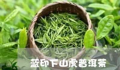 蓝印下山虎普洱茶/2023120453625