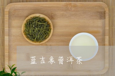 蓝吉象普洱茶/2023042553991