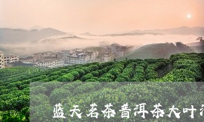 蓝天茗茶普洱茶大叶清/2023061839691