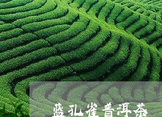 蓝孔雀普洱茶/2023042989653