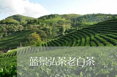 蓝景弘茶老白茶/2023061027071