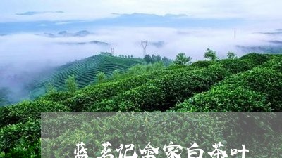 蓝茗记畲家白茶叶/2023071187260