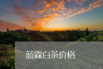 蓝霖白茶价格/2023052388172