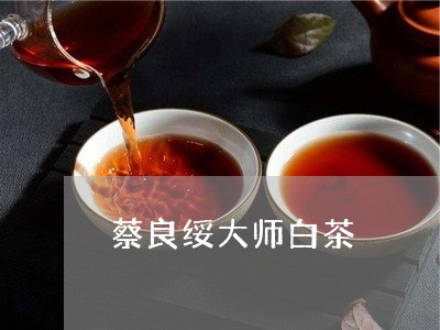 蔡良绥大师白茶/2023060904159