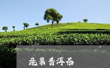 蔬果普洱茶/2023102588274