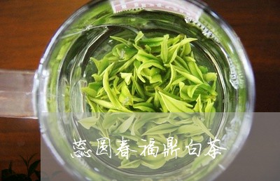 蕊圆春福鼎白茶/2023060968515