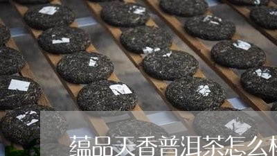 蕴品天香普洱茶怎么样/2023092616259