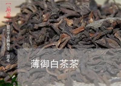 薄御白茶茶/2023051118592