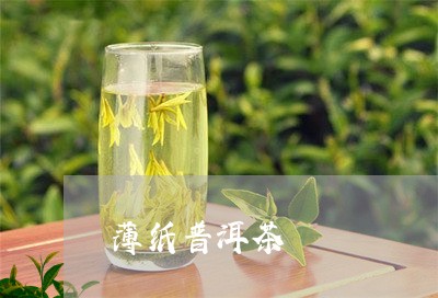 薄纸普洱茶/2023090598371