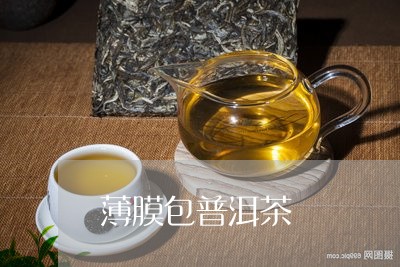 薄膜包普洱茶/2023042746512