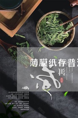 薄膜纸存普洱茶好吗/2023083129292