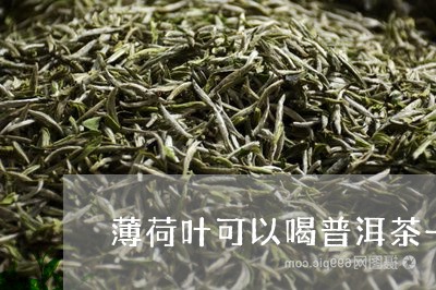 薄荷叶可以喝普洱茶一起泡吗/2023052738482