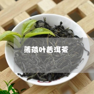 薄荷叶普洱茶/2023042972403