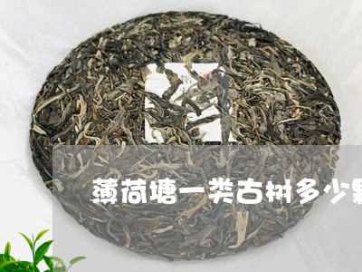 薄荷塘一类古树多少颗/2023060949492