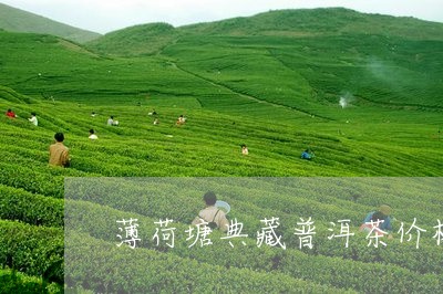 薄荷塘典藏普洱茶价格表/2023121861737