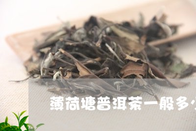 薄荷塘普洱茶一般多少价位/2023110286251