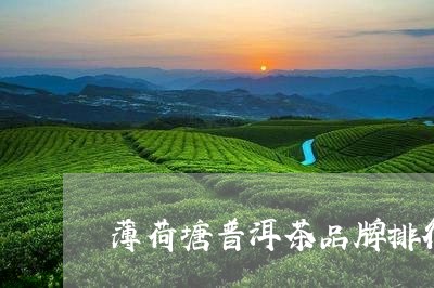 薄荷塘普洱茶品牌排行/2023120615928