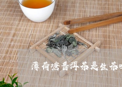 薄荷塘普洱茶是生茶吗还是熟茶/2023121872725