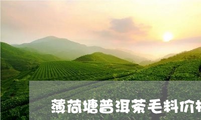 薄荷塘普洱茶毛料价格/2023100696148