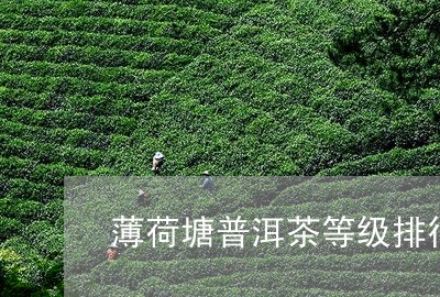 薄荷塘普洱茶等级排行/2023120627252