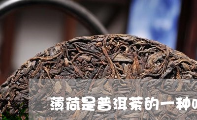 薄荷是普洱茶的一种吗/2023120737250