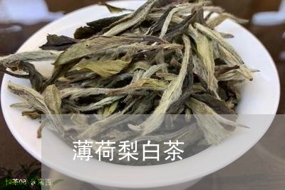 薄荷梨白茶/2023051149381