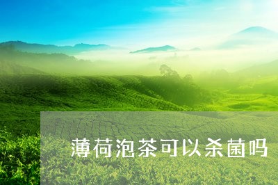 薄荷泡茶可以杀菌吗/2023042253040